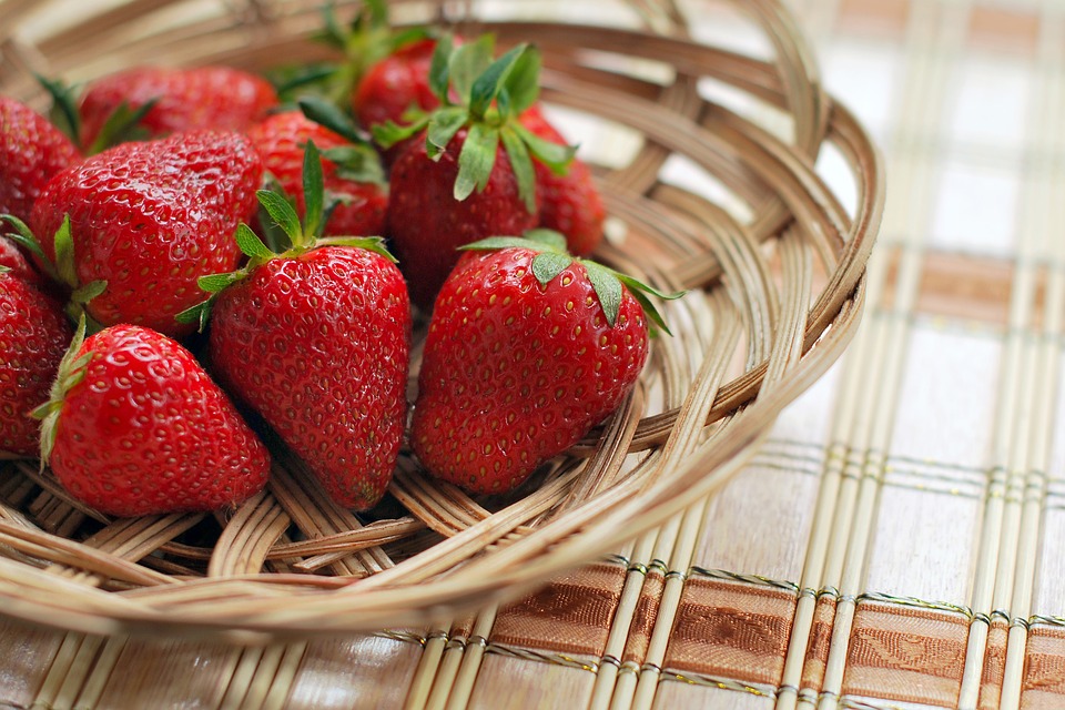 Strawberry Festival at the South Bay Grange