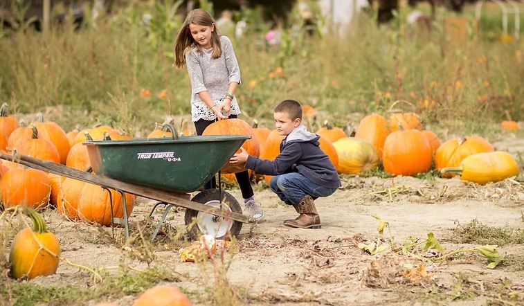 Craven Farm Fall Festival