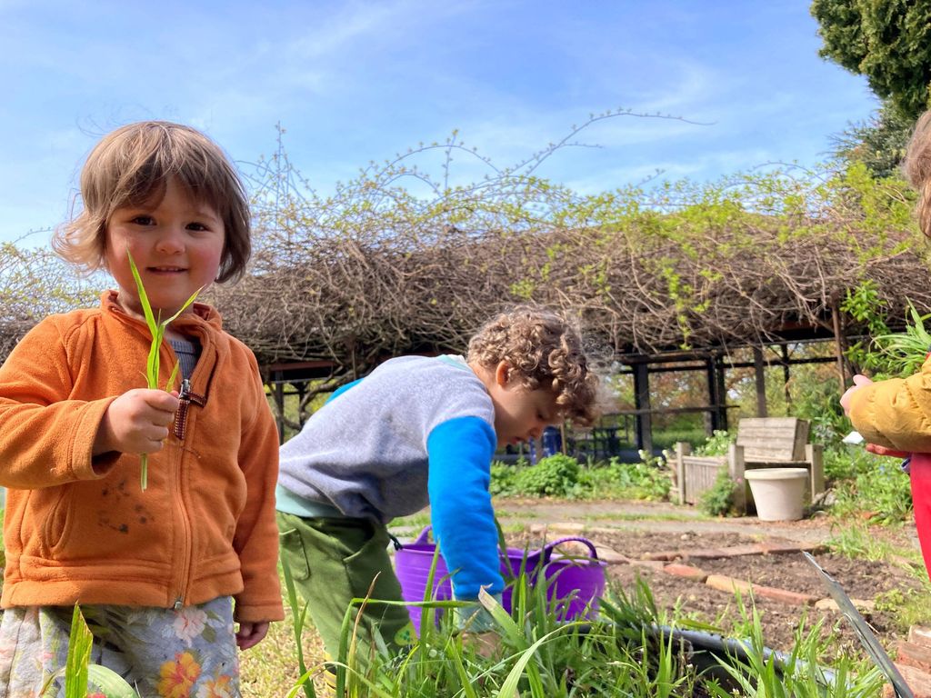Seedlings Camp