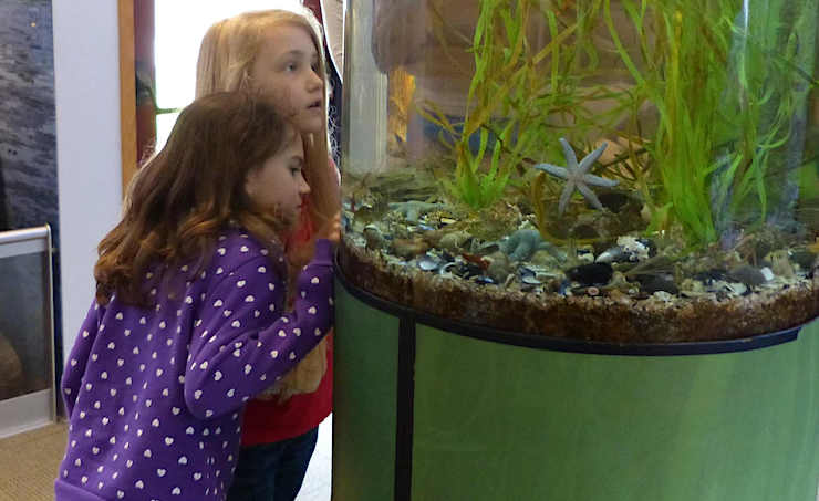 Aquarium Tour and Fish Feeding