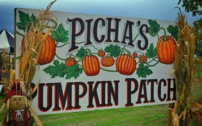 Picha Farms Fall Festival