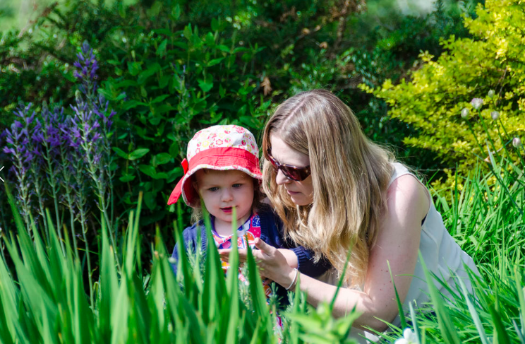 Arts in the Garden at Bellevue Botanical Garden