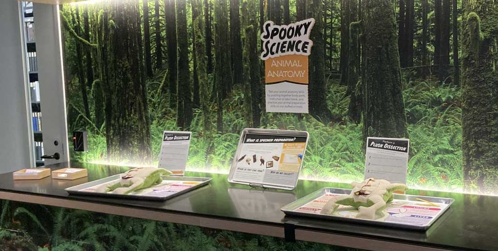 Spooky Science at the Burke Museum