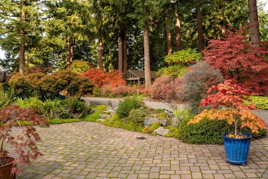Fall Foliage Festival