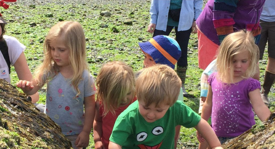 Tide Pools for Tots