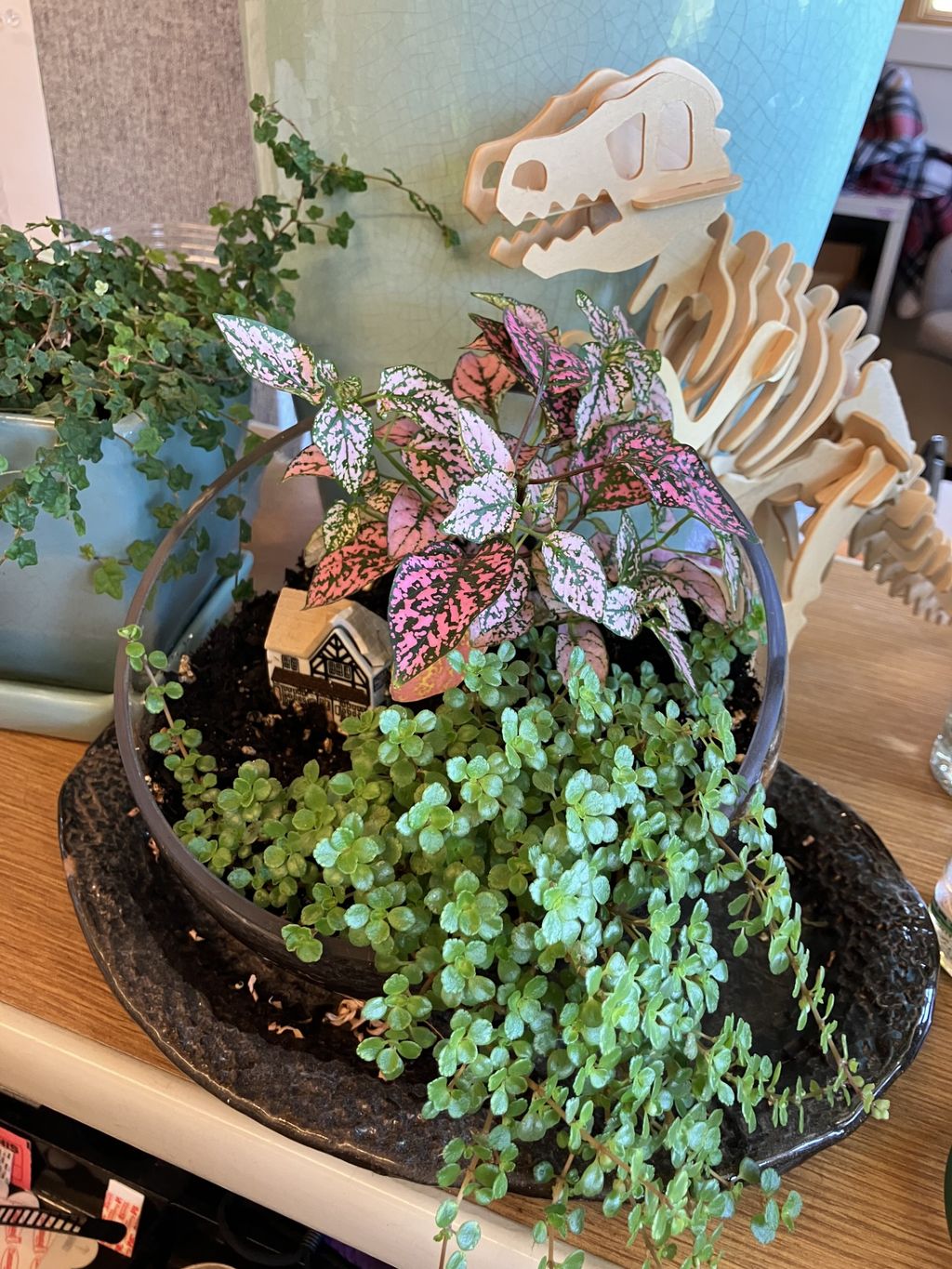 Open Glass Terrarium Workshop