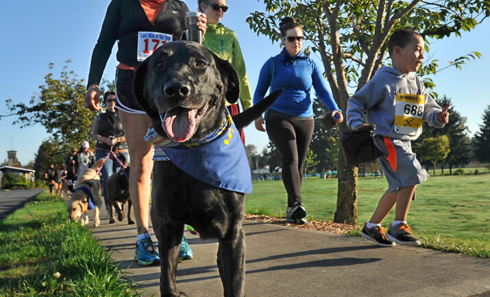 Thirsty Dog Run