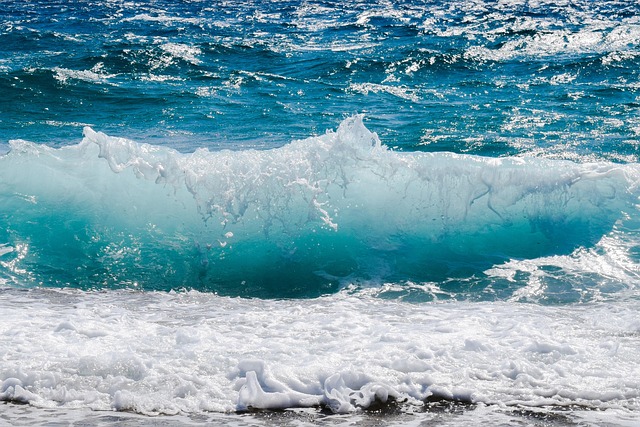 Math in the Ocean