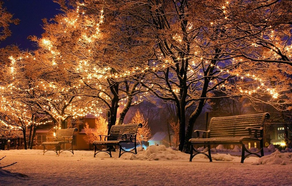 Snoqualmie Winter Lights Tree Lighting