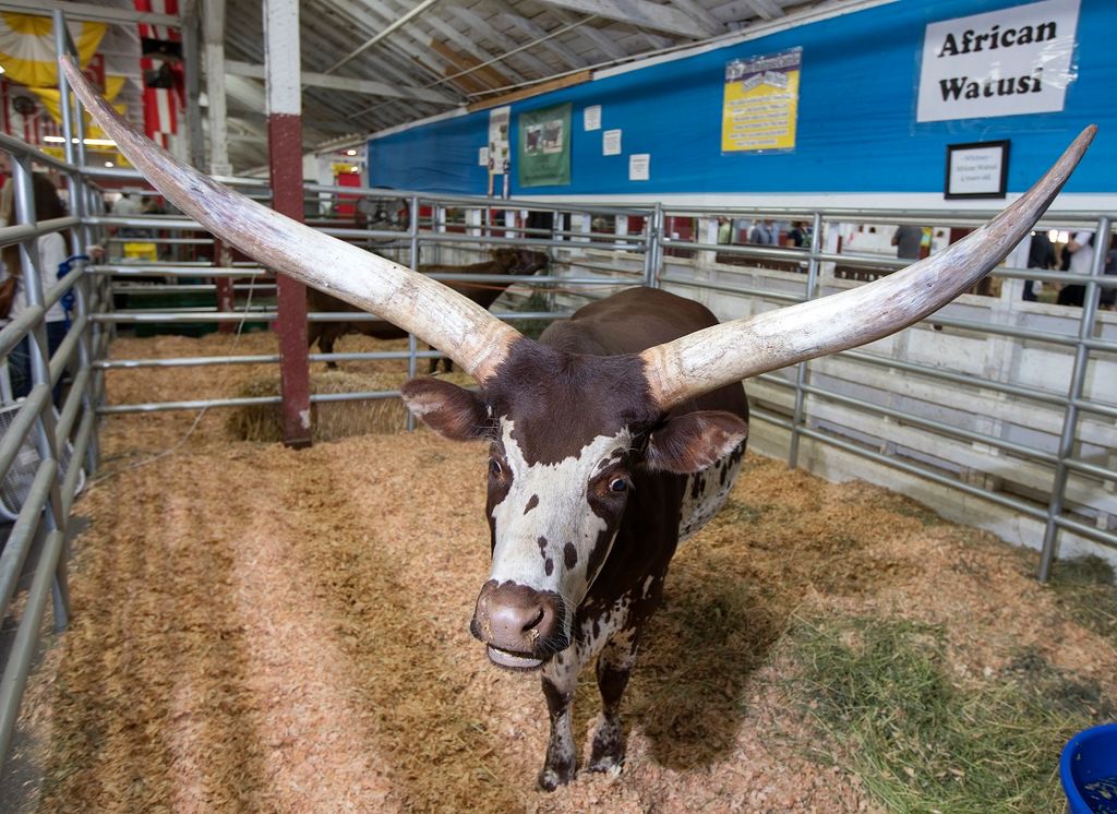 Washington State Fair