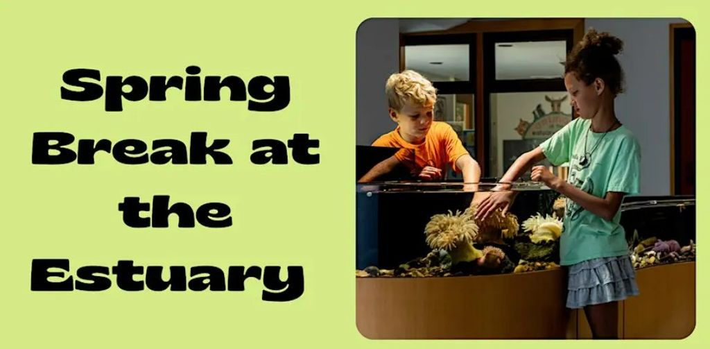 Drop In Event: Spring Break at the Estuary