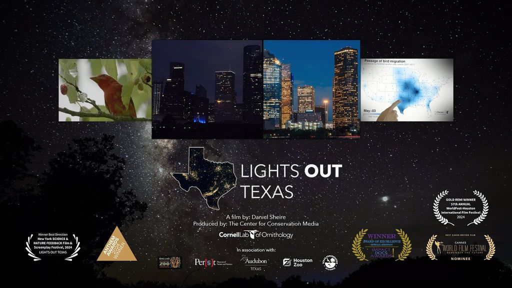 Lights Out for Birds: A Documentary Screening and Panel Conversation