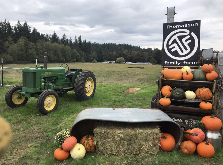 Thomasson Family Farm Fall Festival