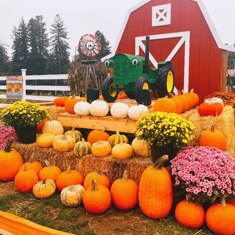 Rutledge Fall on the Farm