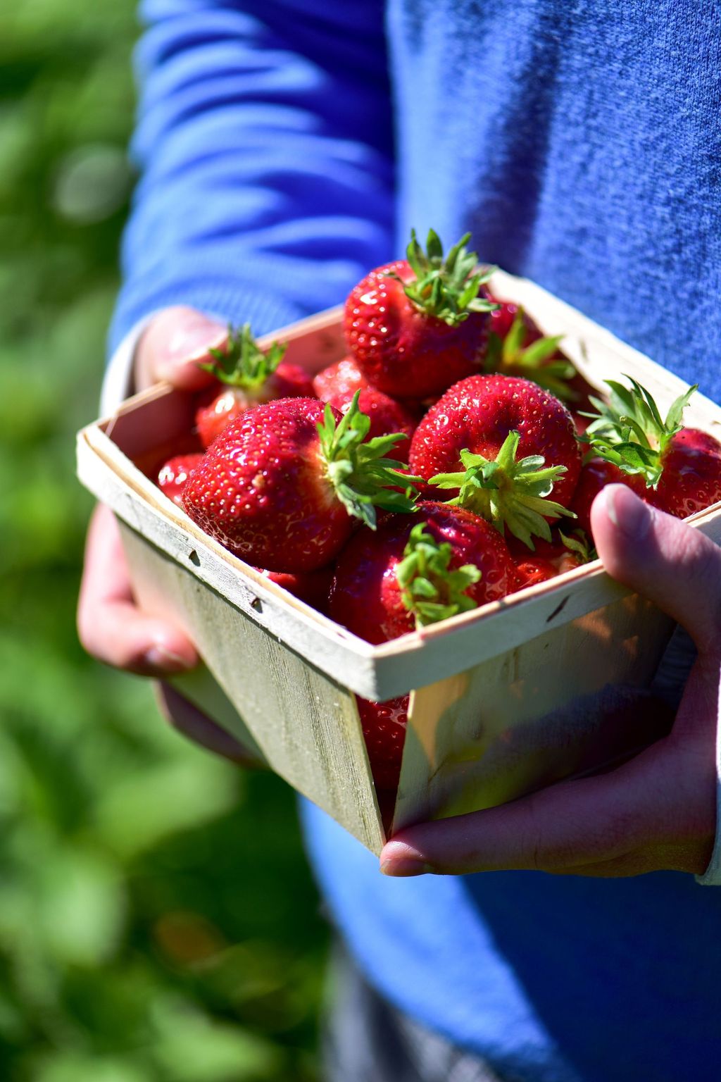 Farm to Table Trails