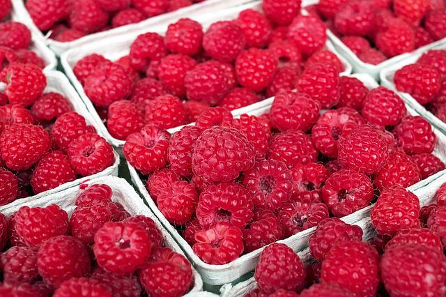 Northwest Raspberry Festival