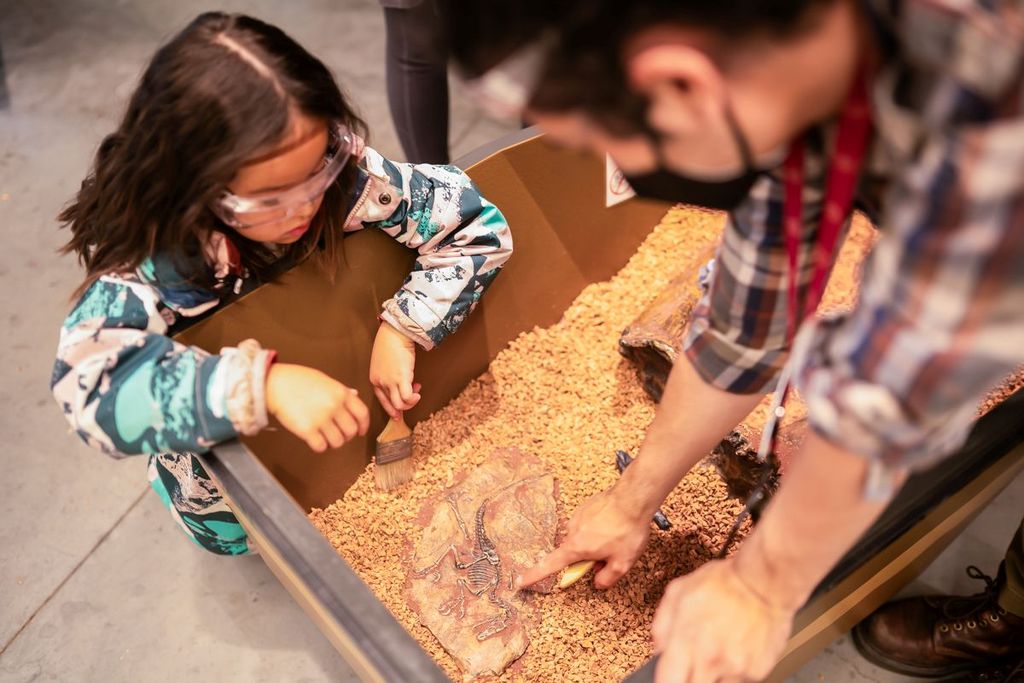 Dino Fest at the Burke Museum 2026