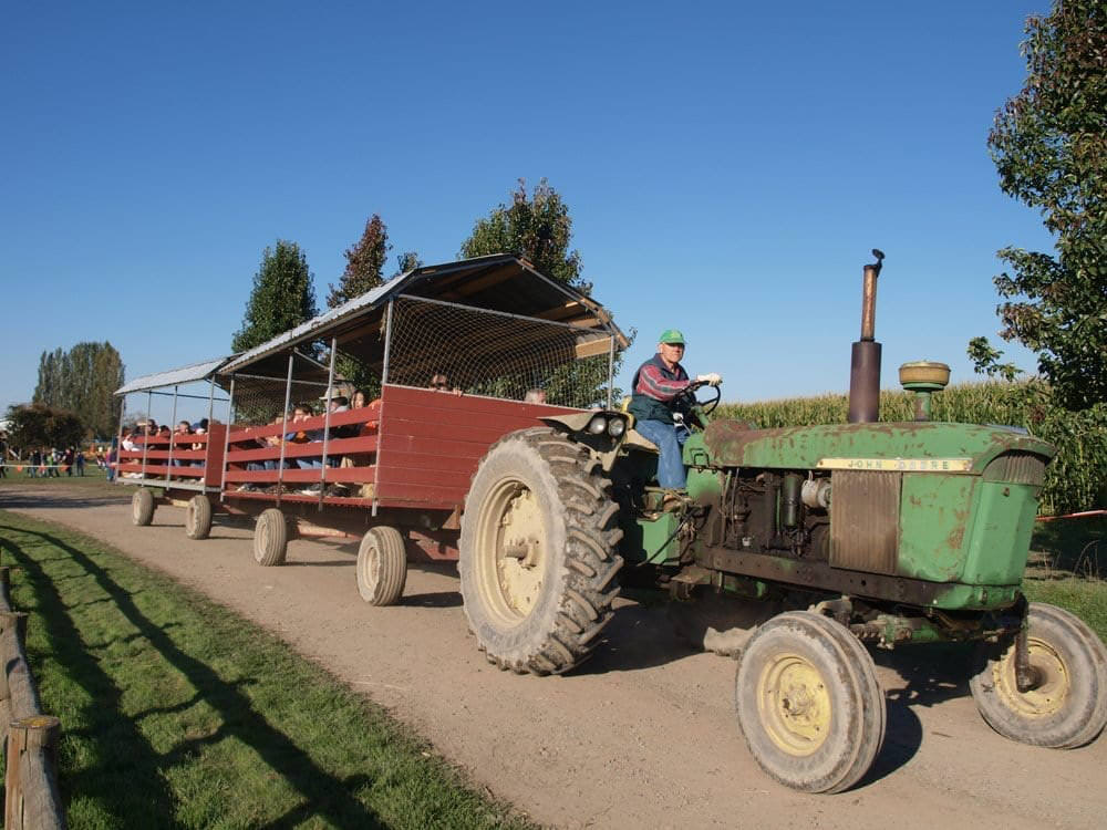 Harvest Festival at Swans Trail Farms