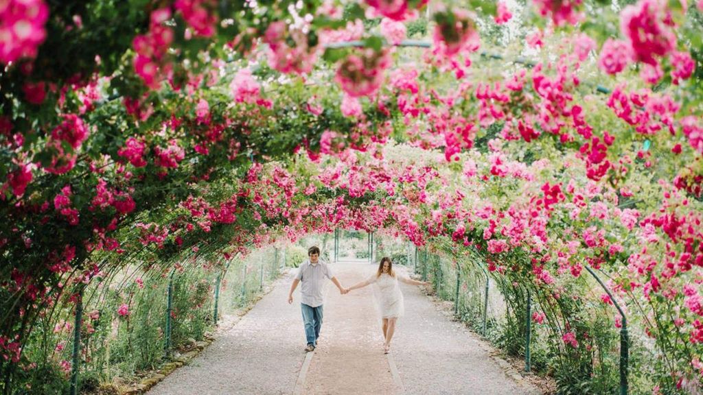 Point Defiance Flower & Garden Festival
