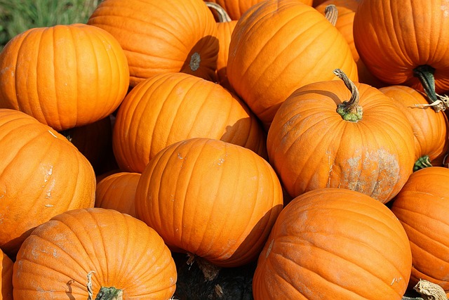 Fall for SLU Celebration