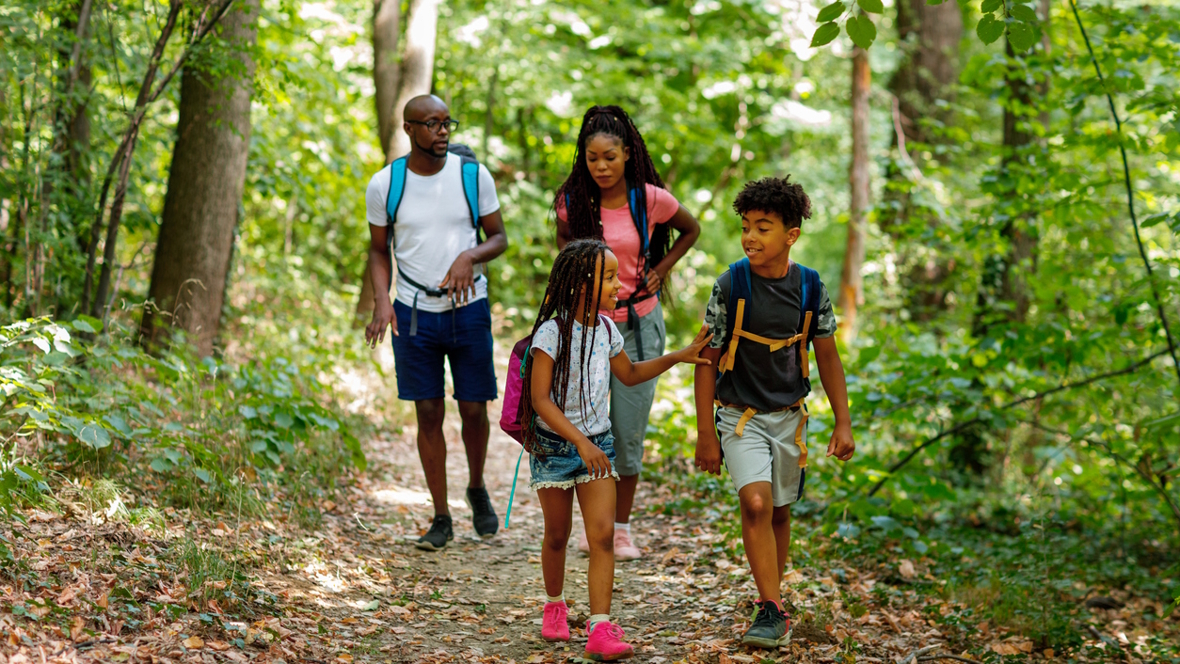 family hiking in the woods during the summer