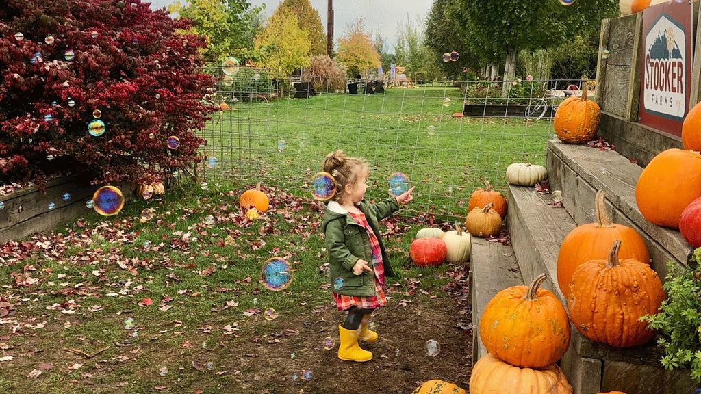 Fall Festivals for Seattle-Area Families