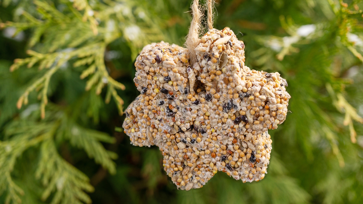 bird seed ornament