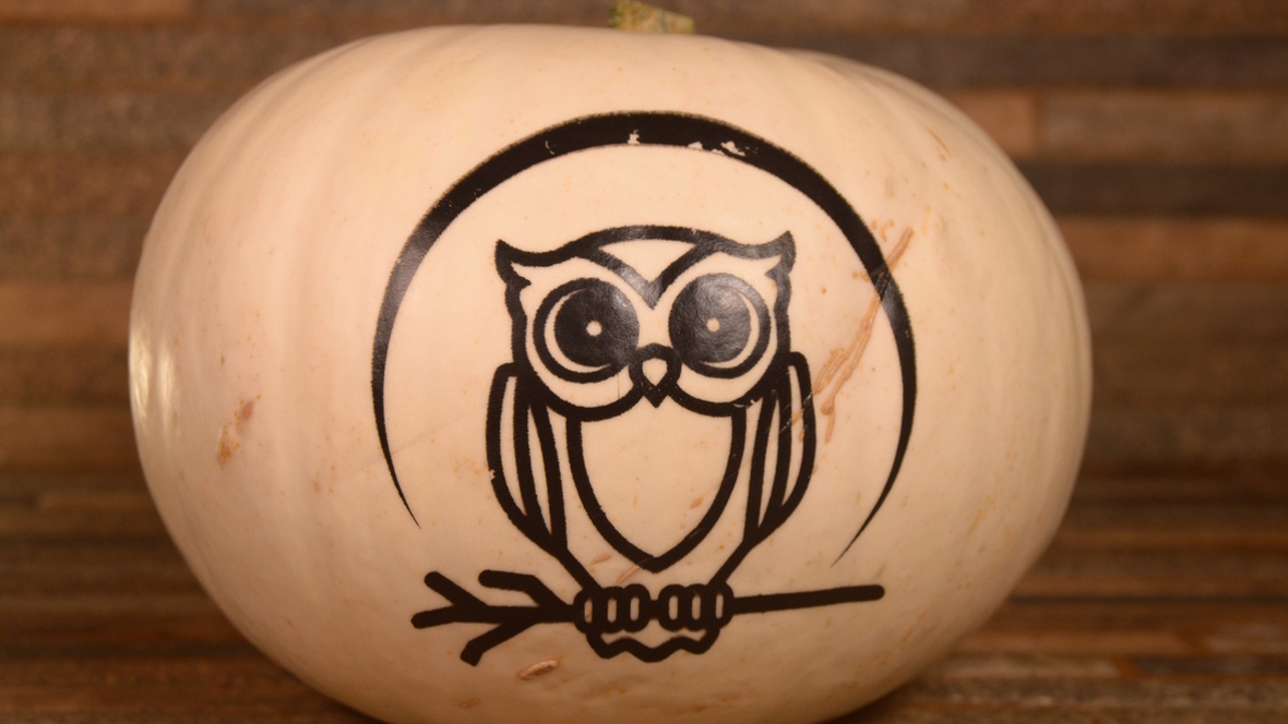 A pumpkin with an owl on it
