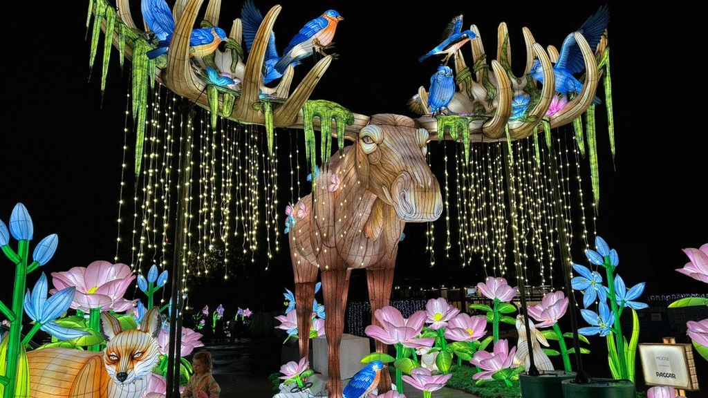 WildLanterns Dazzles at Seattle’s Woodland Park Zoo