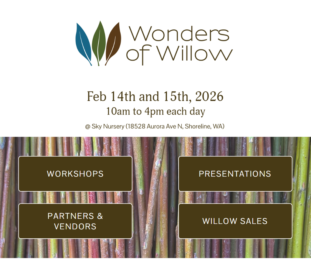 Wonders of Willow (WOW)