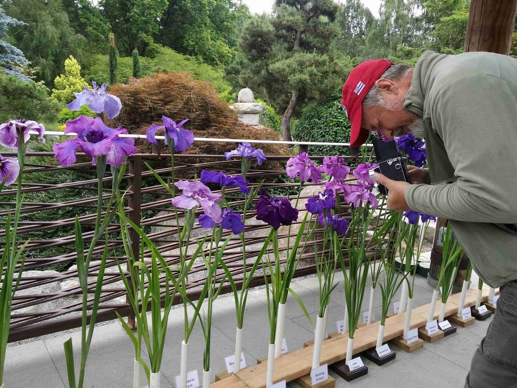 Iris Exhibit