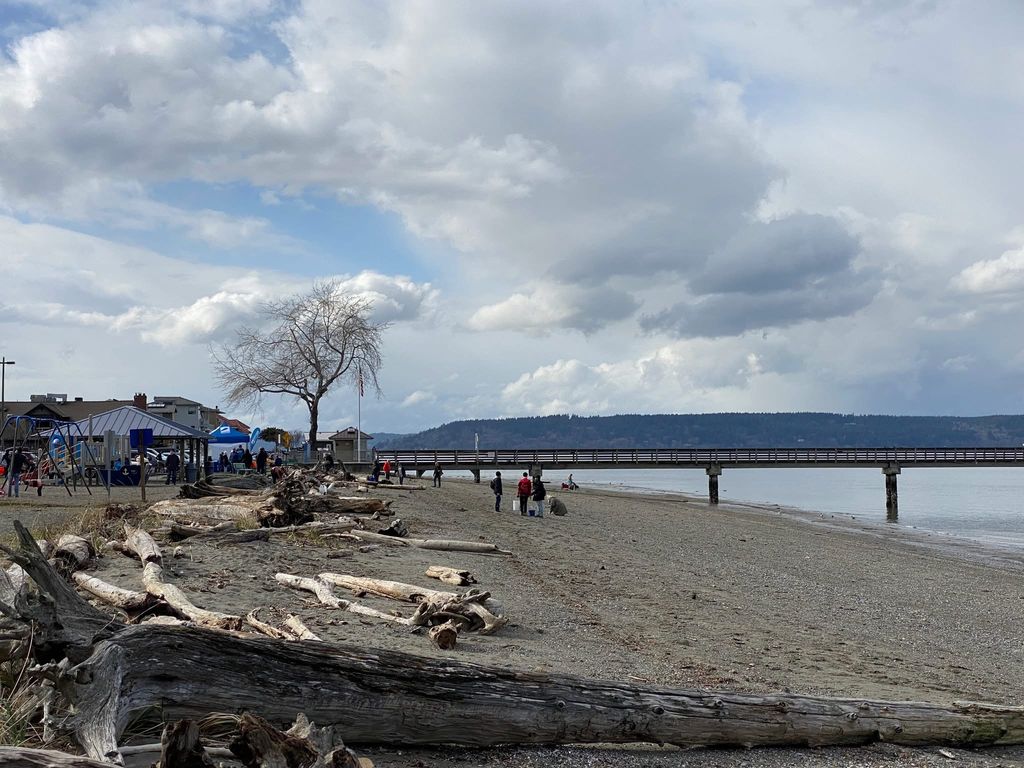 Low Tide Tour at Dash Point State Park
