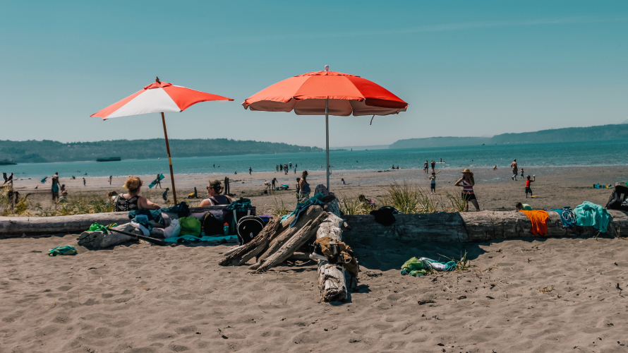 Jetty Island Days