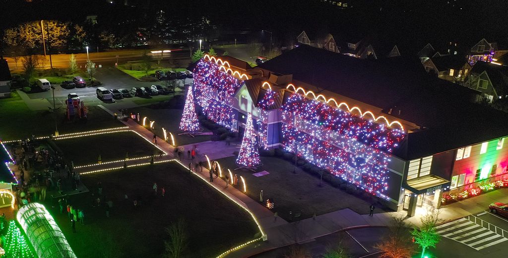 Evergreen Christmas Lights