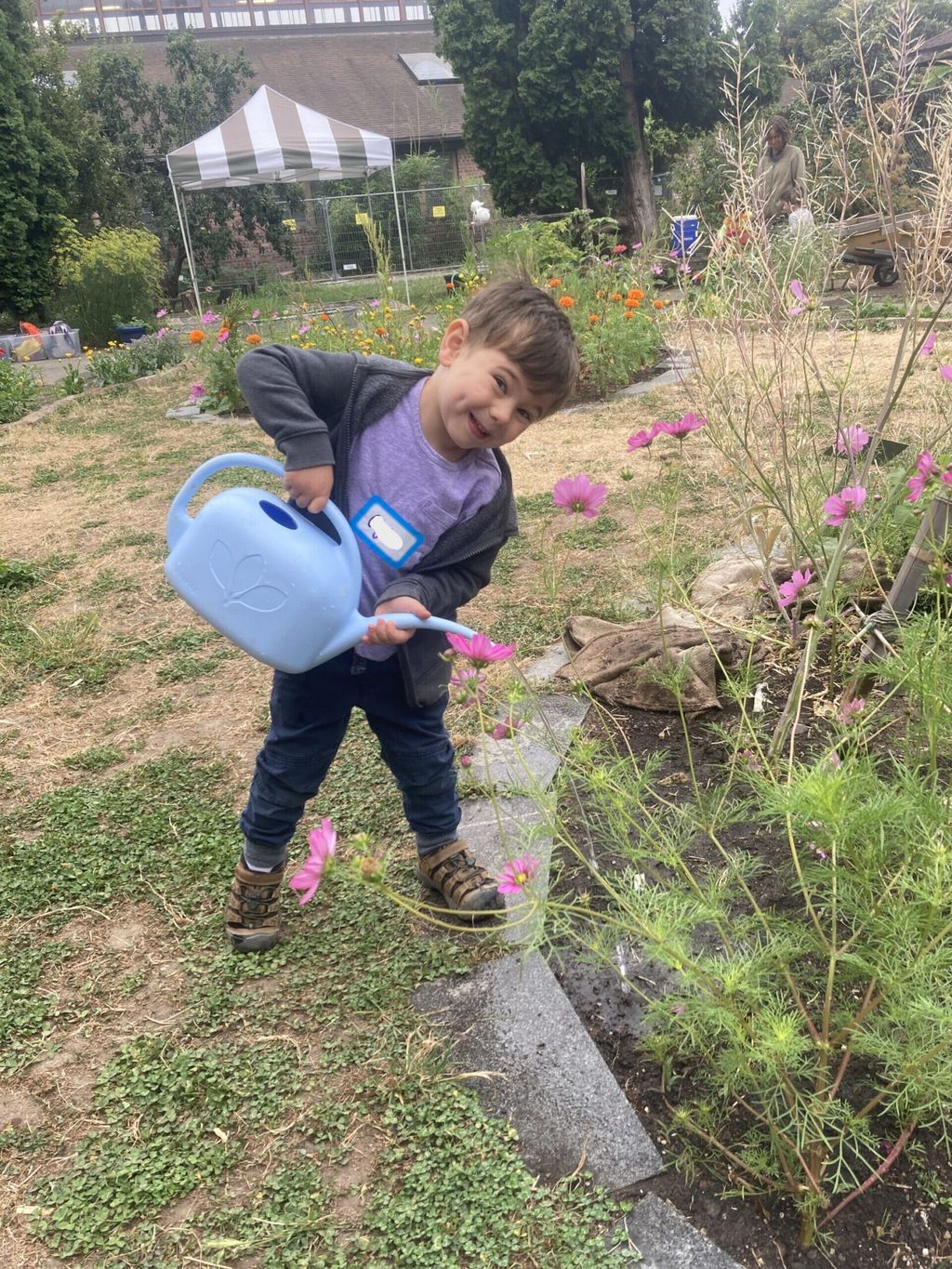 Seedlings Camp – Wallingford
