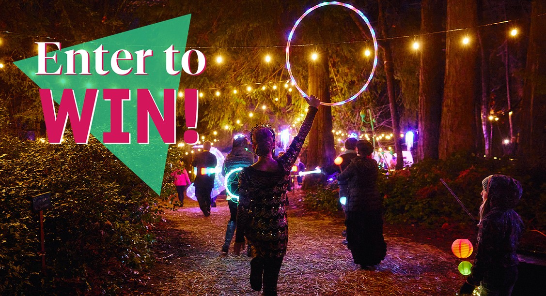 "Enter to Win!" text over Wintertide Festival of Lights