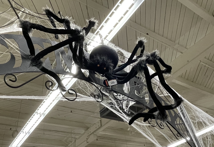 Big spider display