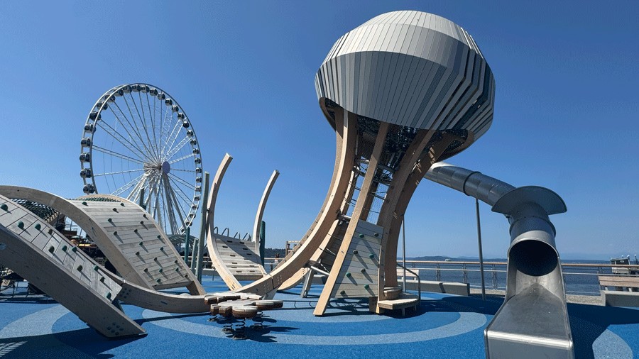 jellyfish climber on the Pier 58 waterfront playground in Seattle