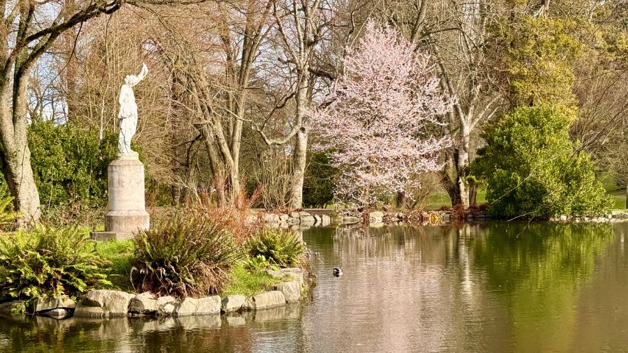 first signs of spring at wright park