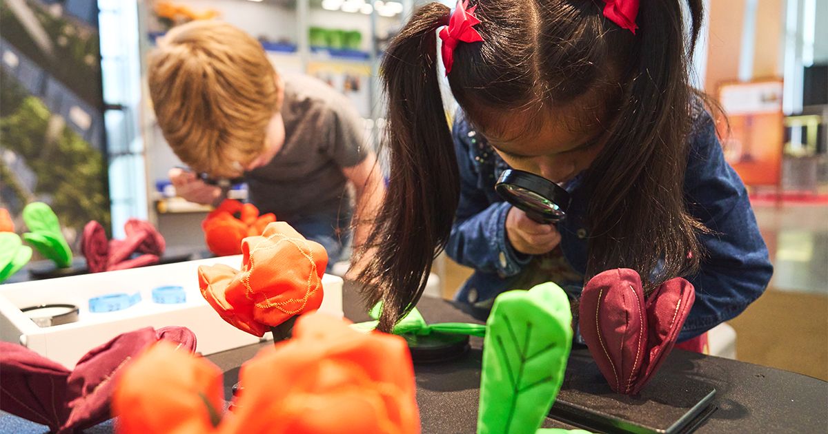 Kids examine items using magnifying glasses during the Boeing Factory Tour outside of Seattle