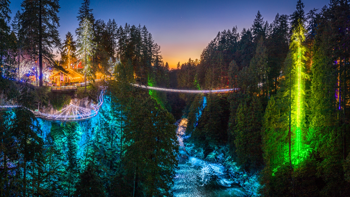 Canyon lights at Capilano Suspension bridge park