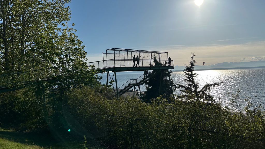 Scenic Footbridge Hikes Promise Adventure for Seattle-Area Families