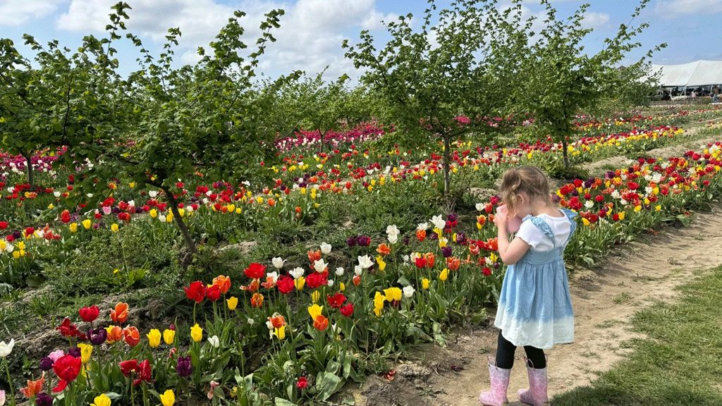 Best Spring Break Activities and Outings for Families Around Seattle