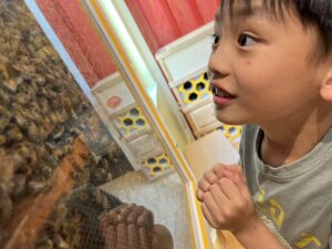 Meet the Bees: Pollinator Celebration