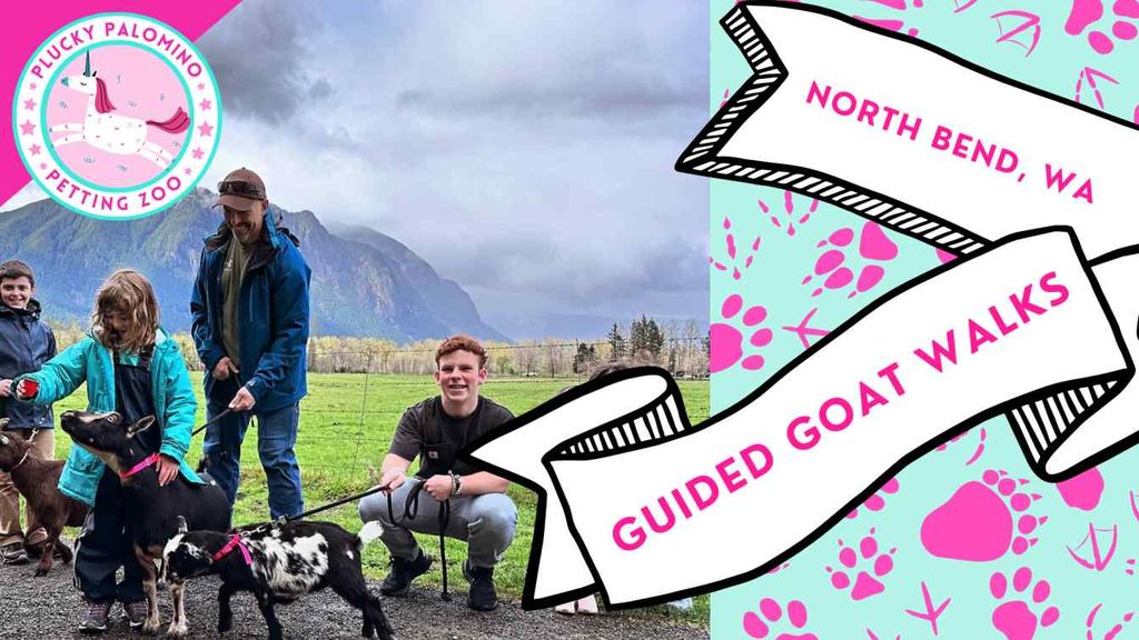 Guided Goat Walk at Plucky Palomino Petting Zoo