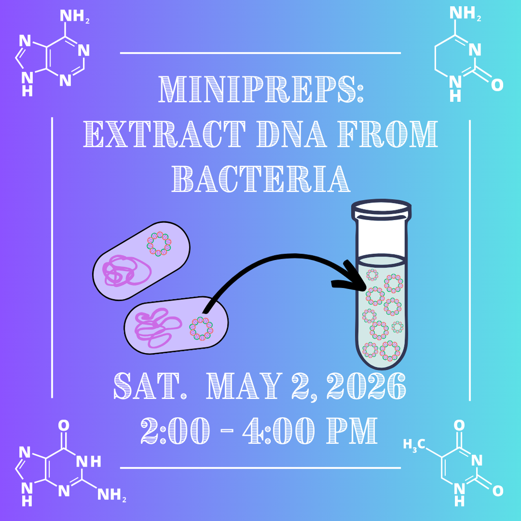 Minipreps: Extract DNA from Bacteria