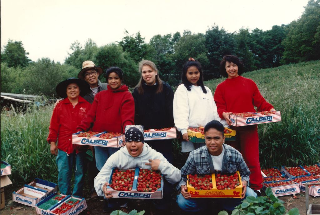 Strawberry Fields Forever: Picker Cabin Stories