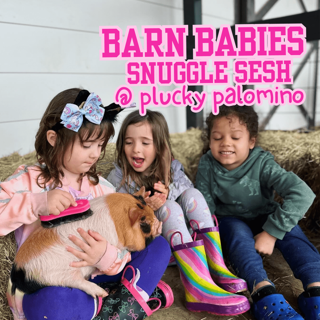 Barn Babies Snuggle Session at Plucky Palomino Petting Zoo