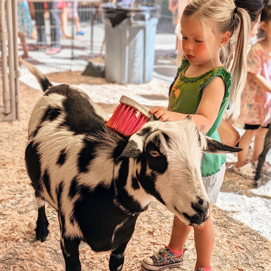 Meet Farm Animals