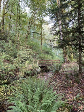 Trails Through Time: Bellevue’s Coal Creek History Hike